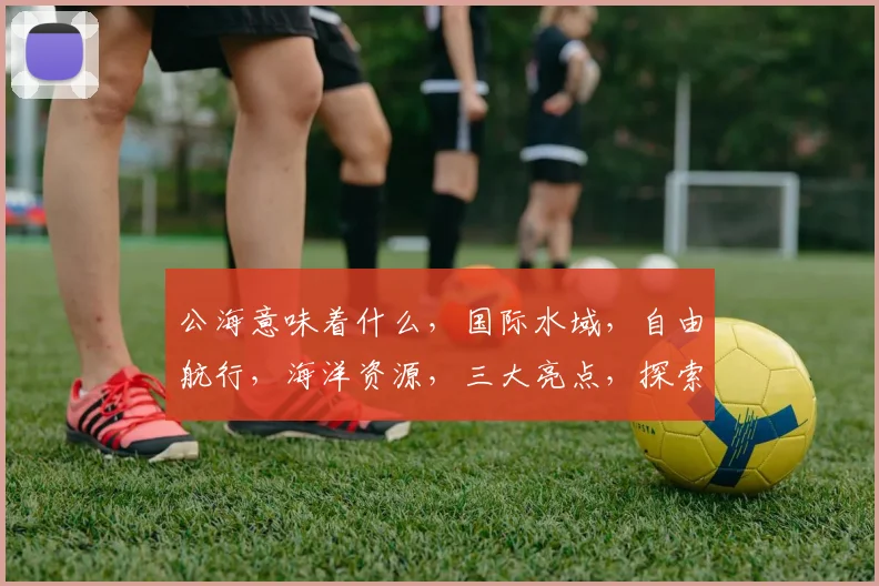 公海意味着什么，国际水域，自由航行，海洋资源，三大亮点，探索奥秘。