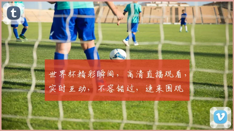世界杯精彩瞬间，高清直播观看，实时互动，不容错过，速来围观