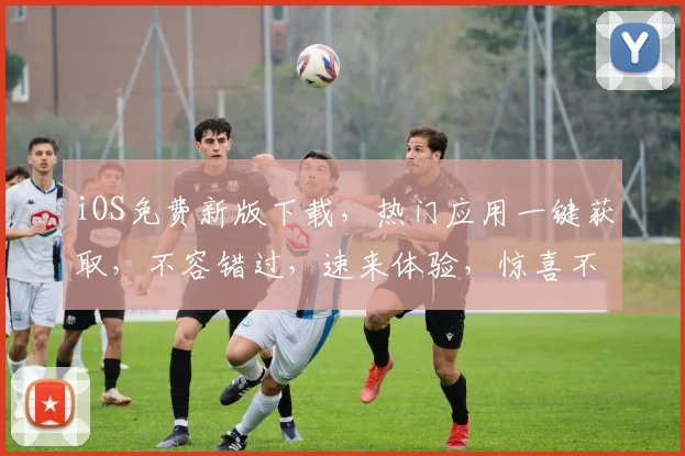 iOS免费新版下载，热门应用一键获取，不容错过，速来体验，惊喜不断